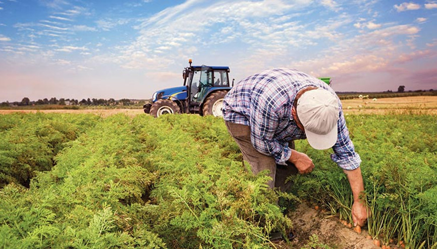 Ali Çandır: Kamu bankası destekli dijital sistem kurulmalı