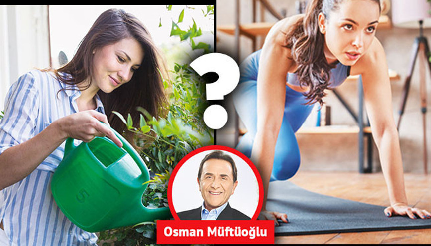 Aktivite mi, egzersiz mi