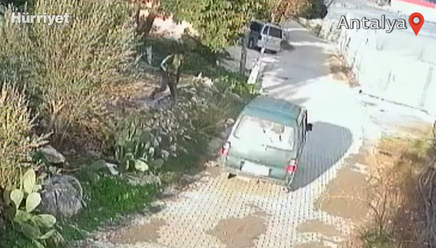 Tavus kuşu hırsızlığı kamerada
