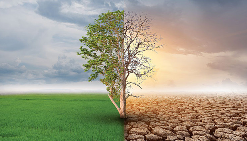 Çevreci üretimde küresel hamle