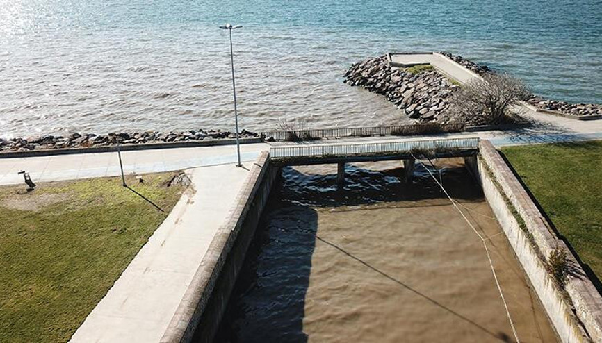 Maltepede deniz kahverengi oldu