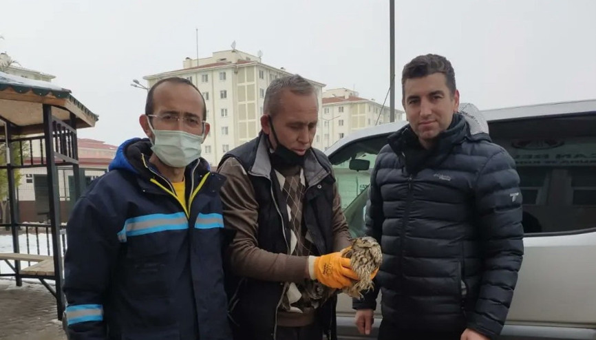 Donmak üzereydi işçiler buldu