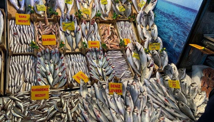 Şubat ayında hangi balıklar yenir İşte Şubatta lezzetli olan balıklar Şubat ayında hangi balıklar yenir İşte Şubatta lezzetli olan balıklar