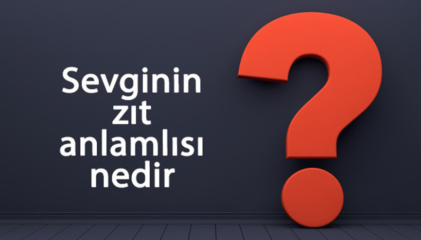 Sevginin zıt anlamlısı nedir Sevgi kelimesi ve sözcüğünün zıt anlamlıları