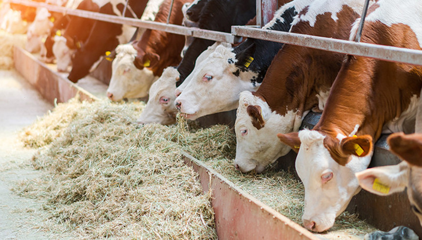 TARSİM yetiştiricilere 2.5 milyar TL hasar ödemesi yaptı