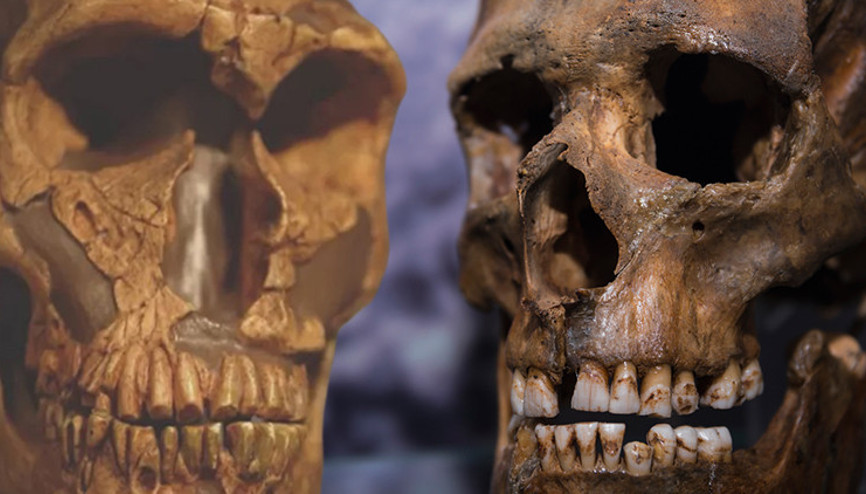 Neandertal atalarımızı biz yok etmedik... İnsanlık tarihini değiştirecek keşif Neandertal atalarımızı biz yok etmedik... İnsanlık tarihini değiştirecek keşif