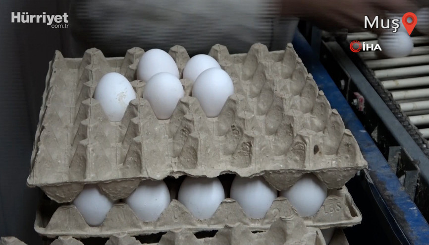 Muş’ta KDV indirimi yumurta üreticisini sevindirdi
