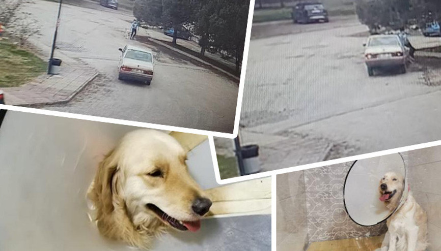 Otomobili antrenörün üzerine sürdü, köpeği yaraladı