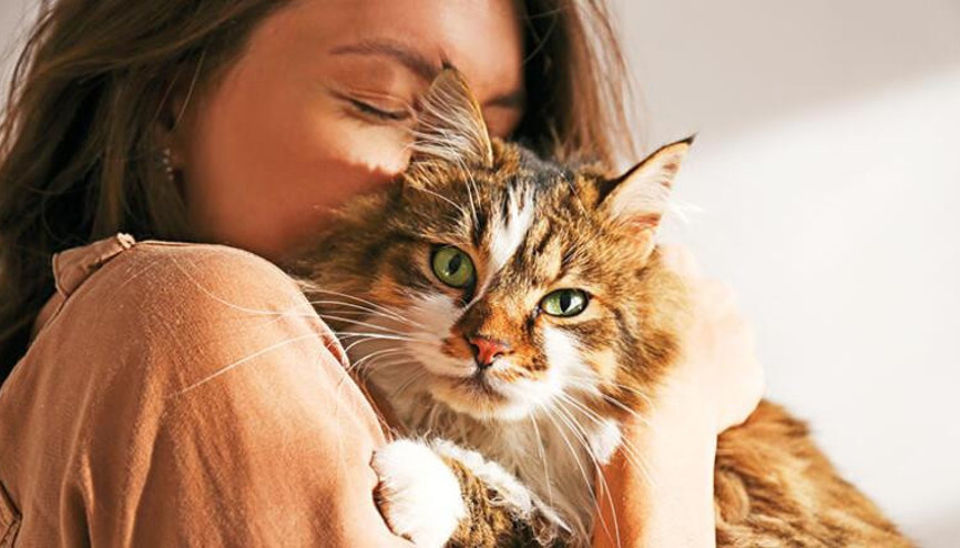 Dünya kediler günü ne zaman, hangi gün kutlanır 17 Şubat ne günü Dünya kediler günü ne zaman, hangi gün kutlanır 17 Şubat ne günü