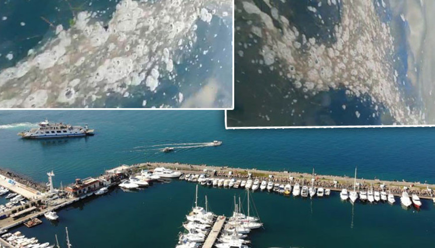 Çanakkale Boğazı’nda korkutan görüntü Müsilaj geri döndü Çanakkale Boğazı’nda korkutan görüntü Müsilaj geri döndü