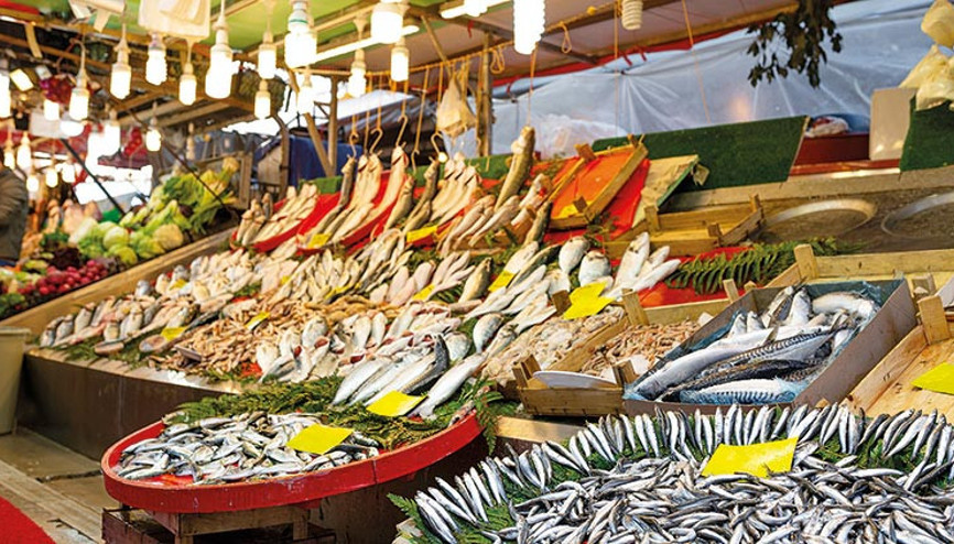 Çarşı çarşı gezelim, taze balık seçelim...