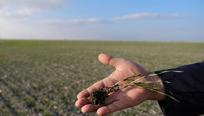 Çiftçi destek ödemeleri: 2022 mazot ve gübre desteği detayları...