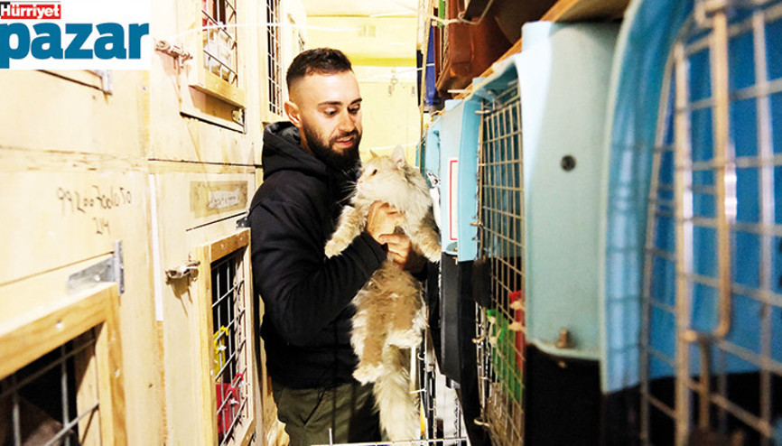 Bir uçak dolusu kedi ve köpekle 15 saat