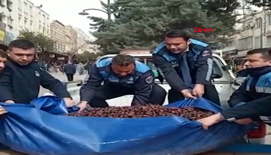 Şanlıurfada, 500 kilo küflenmiş hurma ele geçti