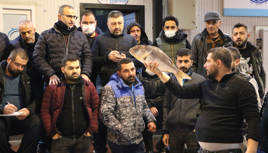 Mezatta ucuz balık rekabeti