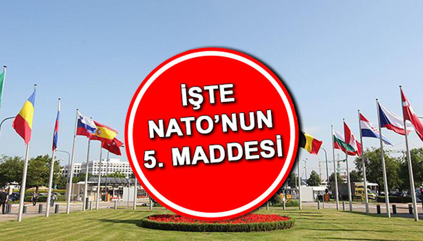 NATO 5. madde ve 4. madde nedir NATO ne demek İşte NATOnun tarihi