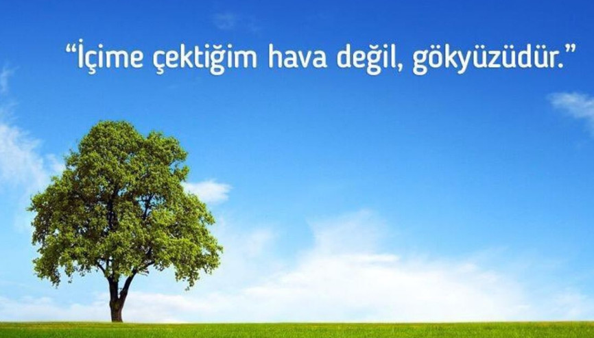 Fahrettin Koca Ülkü Tamer şiirinden bir cümleyle duyurdu: “İçime çektiğim hava değil gökyüzü”
