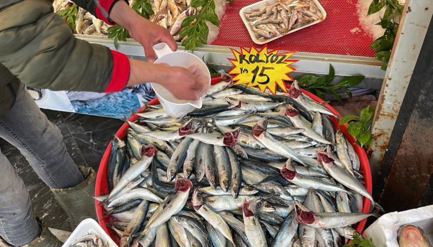 Kilosu 15 lira... Kapış kapış satılıyor
