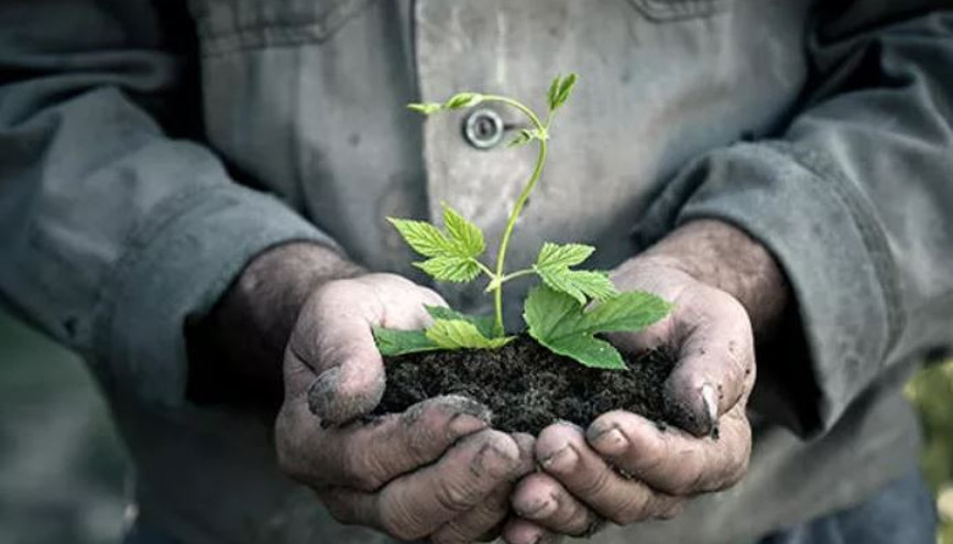 Mazot gübre desteği yattı mı Çiftçi Destek Ödemesi sorgulama hakkında bilgiler