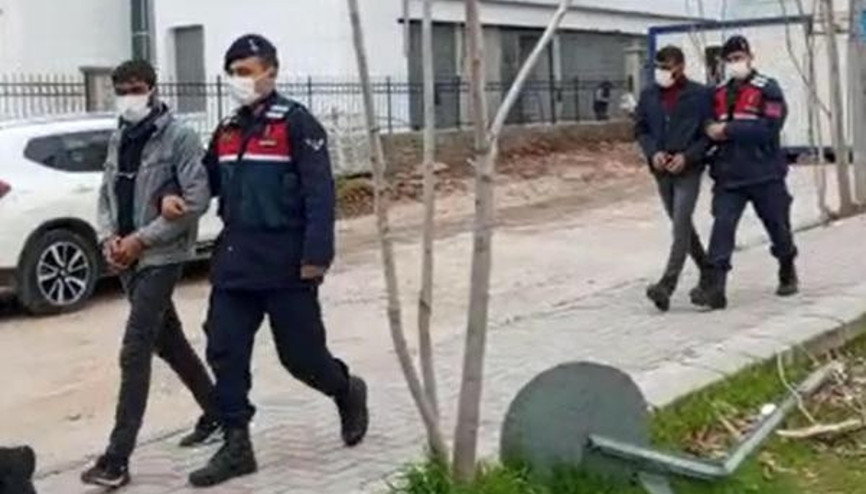 Tavus kuşlarını çalan 7 kişi operasyonla yakalandı Tavus kuşlarını çalan 7 kişi operasyonla yakalandı