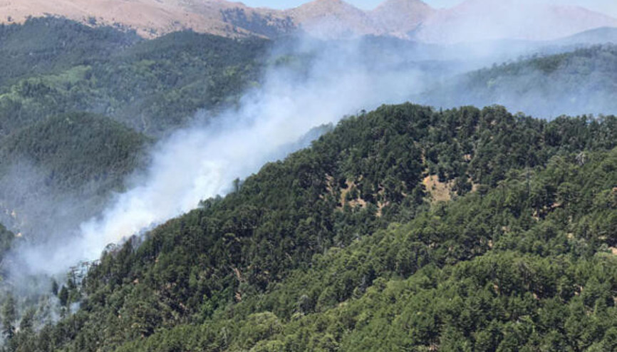 OGM personel alımı ne zaman yapılacak Gözler Tarım ve Orman Bakanlığı 5 bin işçi alımı başvuru şartlarında