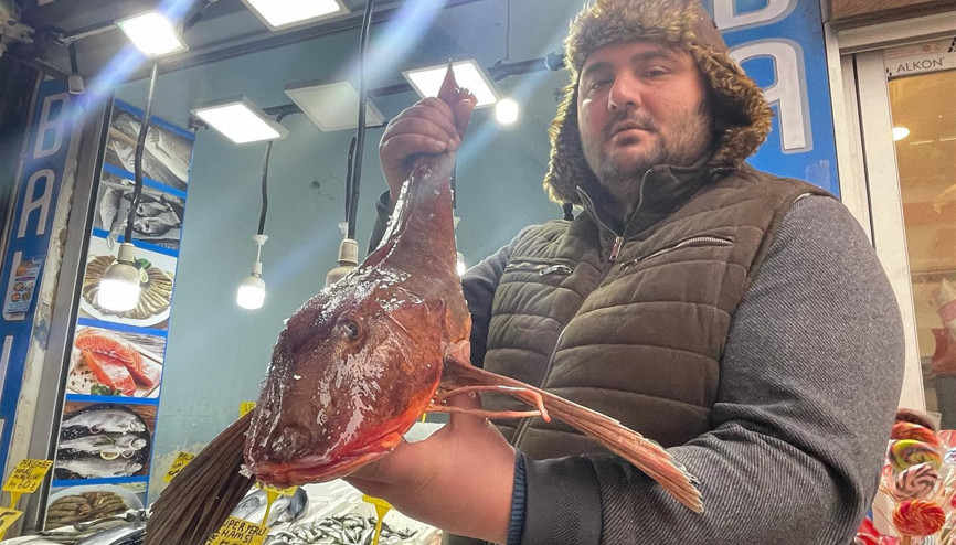 Bir tanesi 800 TL... Alıcı bekliyor