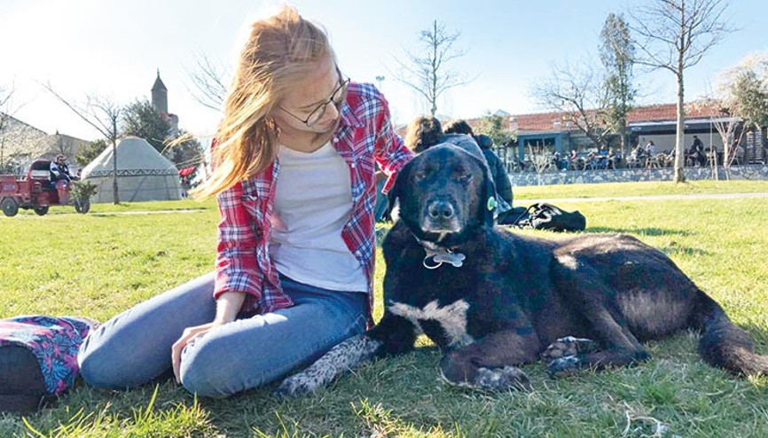 Kampüste köpek tartışması Kampüste köpek tartışması