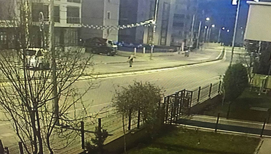 Sokak hayvanlarının mama kaplarını çaldılar