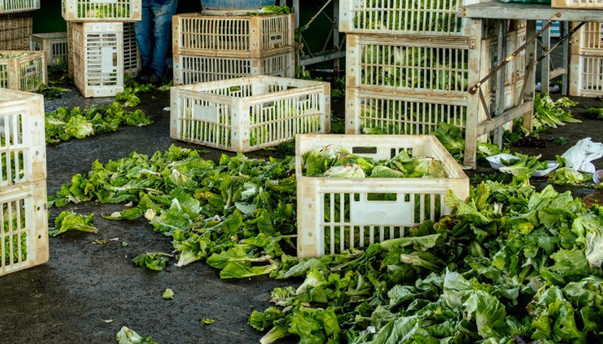 Benimle mi çözülecek demeyin... Dünyadaki 800 milyon insan aç, yemekler ise çöpte