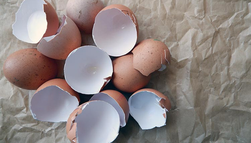 Yumurta Kabukları Nasıl Değerlendirilir