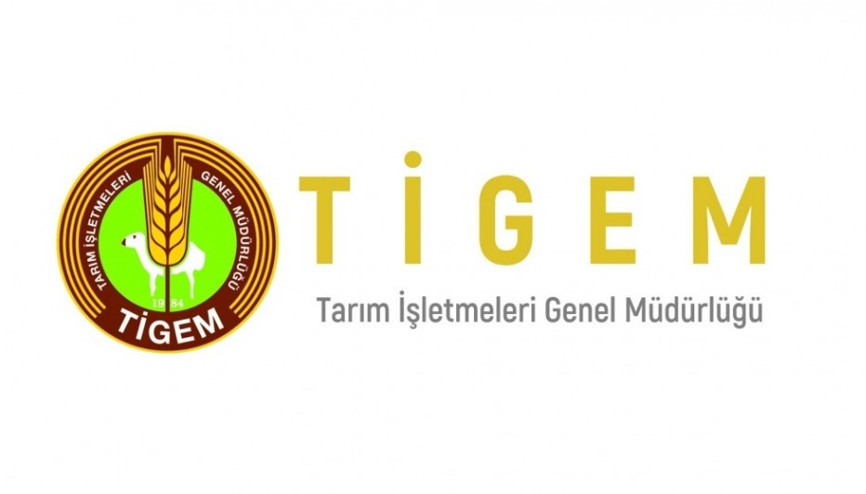 Personel hizmeti satın alınacak
