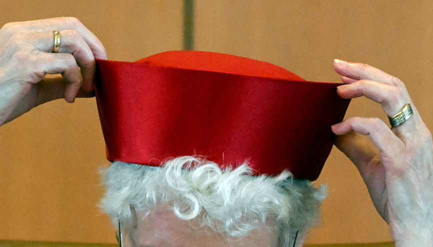 Anayasa Mahkemesi: ‘Milletvekili, Federal Meclis Başkanı Yardımcısı adayı gösteremez’