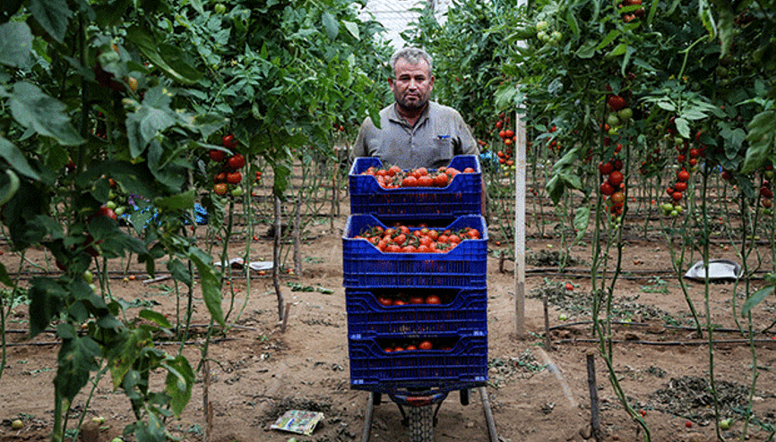 ÇİFTÇİMİZ DURMADI
