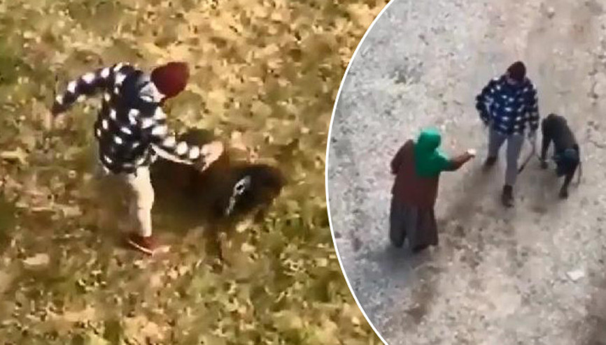 Vicdanları sızlatan görüntü: Gezdirdiği köpeğine tekme attı İnsan ol, bu kadar insafsızlık olur mu