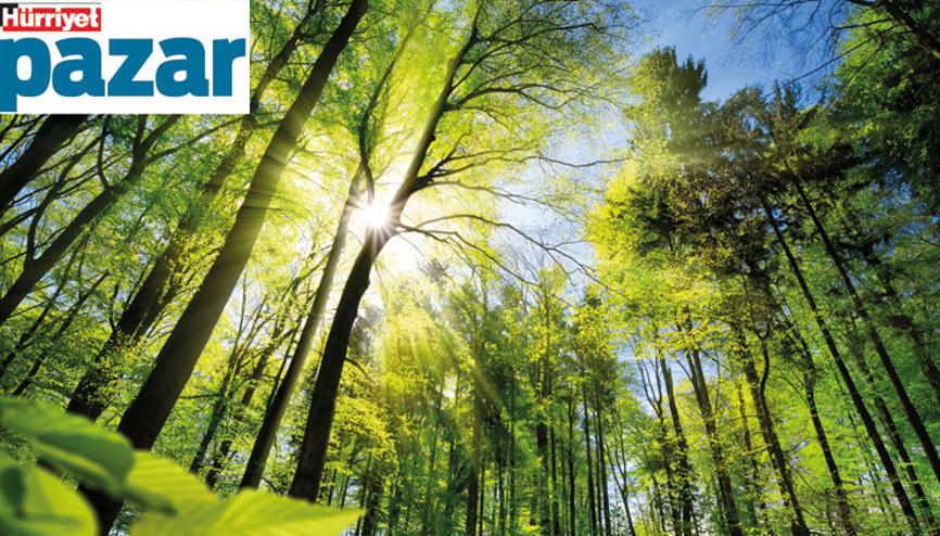 Yeşil vatana sağlam savunma Yeşil vatana sağlam savunma