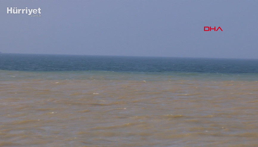 Şilede denizin rengi kahverengiye döndü