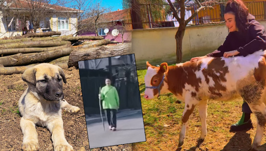 Sahne ışıkları da yok, ışıltılı kıyafetler de... Ünlü şarkıcının köy hayatı