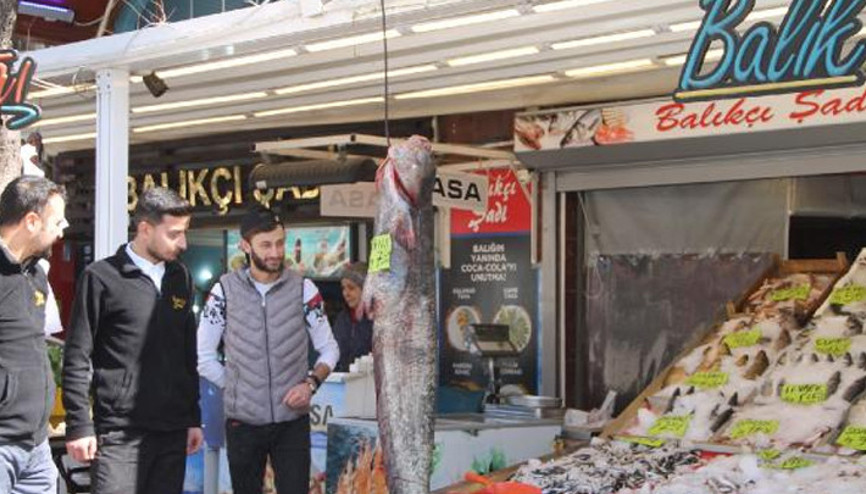 Balıkçının ağına, 40 kiloluk yayın balığı takıldı