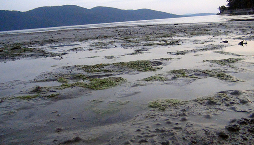 Akyakada deniz suyu 50 metre çekildi