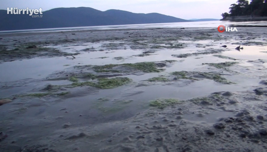 Akyaka’da süper gelgitler başladı, deniz suyu 50 metre çekildi