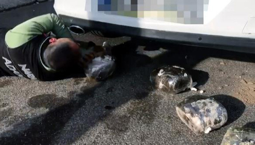 Otomobilinin tamponunda bulundu, savunması şaşırttı