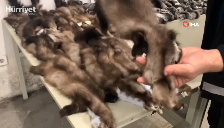 Kapıkule ve Sarp sınır kapılarında hayvan kürkü ile postları ele geçirildi