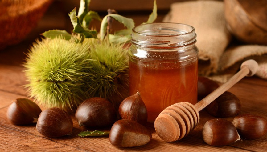 Kestane Balı Nasıl Yapılır, Neye İyi Gelir Kestane Balı Faydaları ve Tüketimi