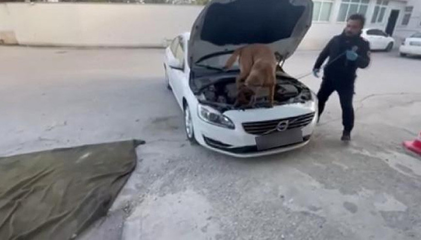 Otomobilin bagajındaki 15 kilo eroini Felix buldu