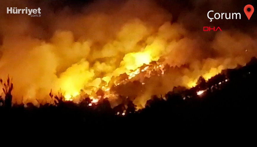 Çorumda iki ilçede orman yangını