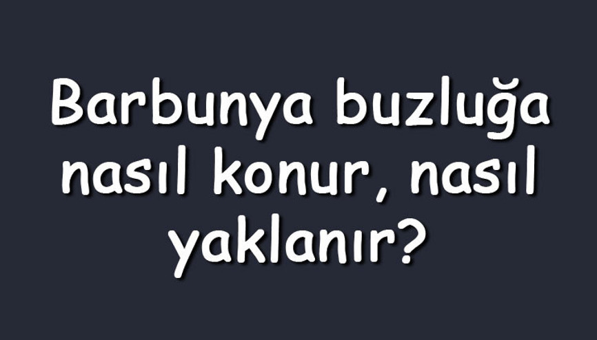 Barbunya buzluğa nasıl konur, nasıl yaklanır Buzlukta ne kadar süre saklanır