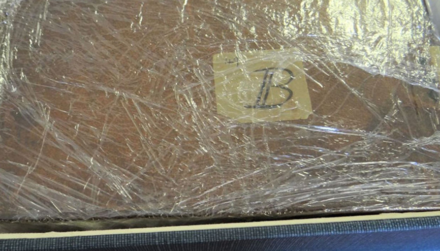 22 yıldır kayıptı: Darwinin gizemli defterleri ortaya çıktı