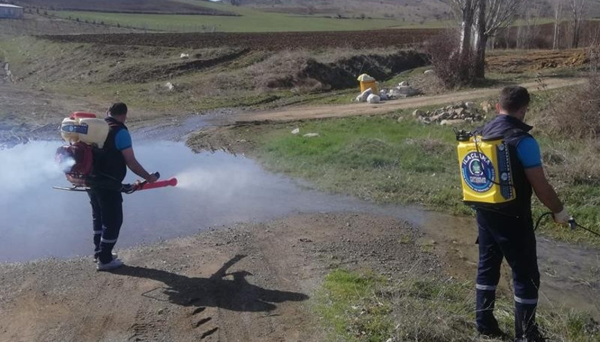 Sineksiz yaz için ilaçlama başladı