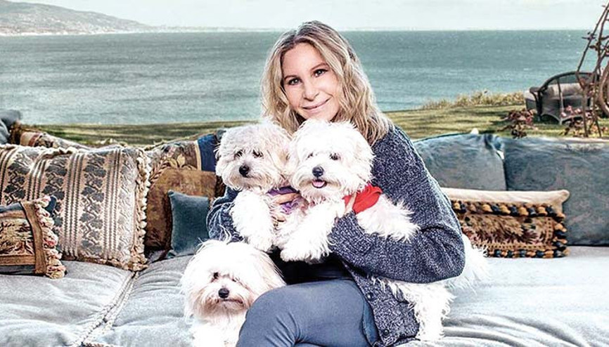 Yeni trend: Evcil hayvan klonlatma