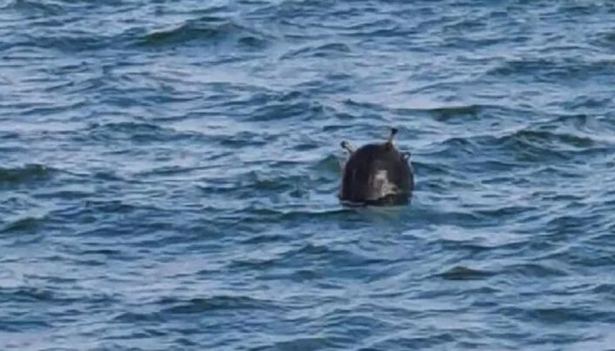 Karadeniz sularında 3. mayın SAS timleri tarafından imha edildi